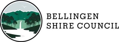 BSC_RGB-LockUp-Black.png
