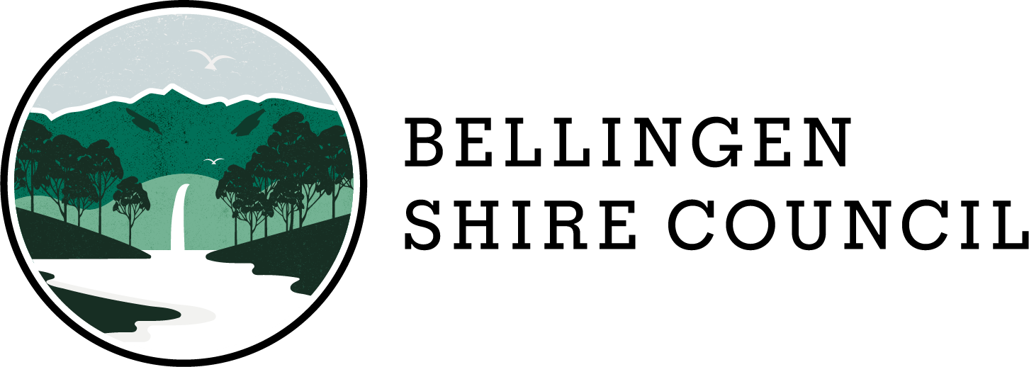 BSC_RGB-LockUp-Black.png